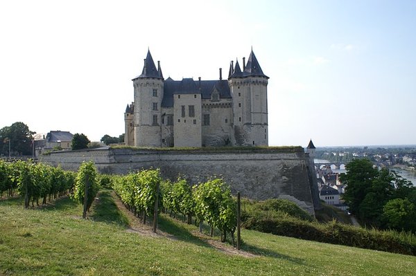 Camping de rêve au bord de la Loire près de Saumur
