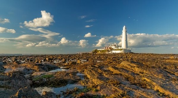 Séjour paisible dans des campings calmes sur l'Ile de Ré