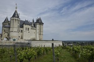 Les campings au bord de la Loire à Saumur offrant un cadre naturel et des vues imprenables sur le fleuve